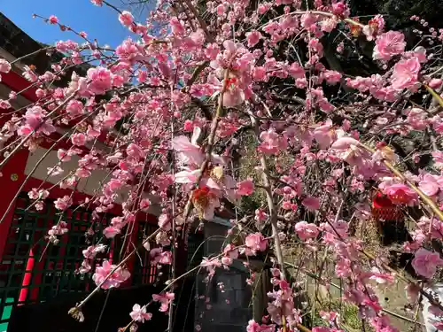 赤間神宮の自然