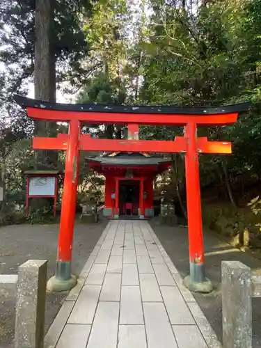 箱根神社の鳥居