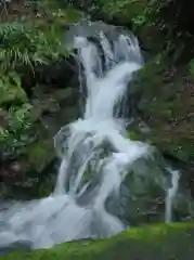 白山比咩神社の自然