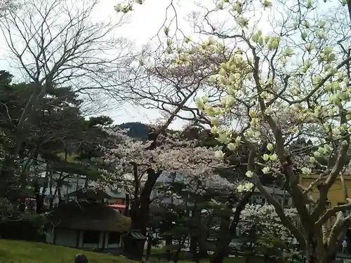 瑞巌寺の庭園