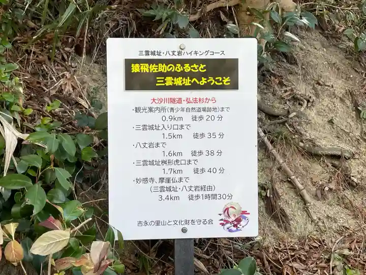 大杉弘法堂(弘法スギ)(滋賀県)