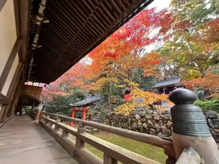 柳谷観音 楊谷寺(京都府)