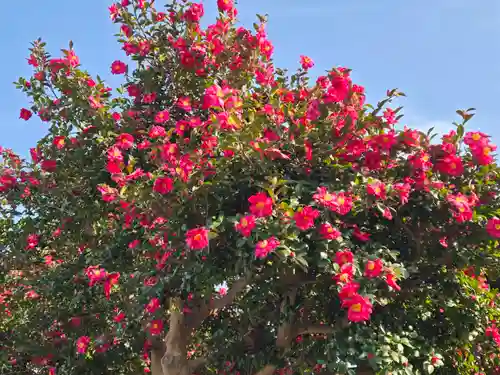 石光寺(奈良県)