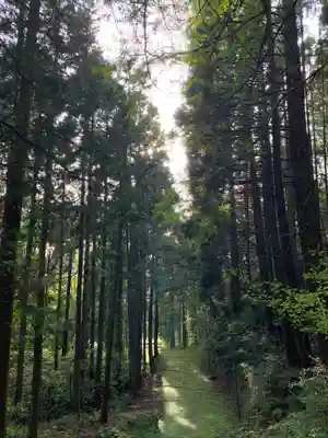 熊野神社の周辺