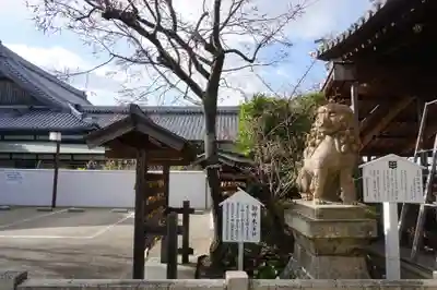 柿本神社の狛犬