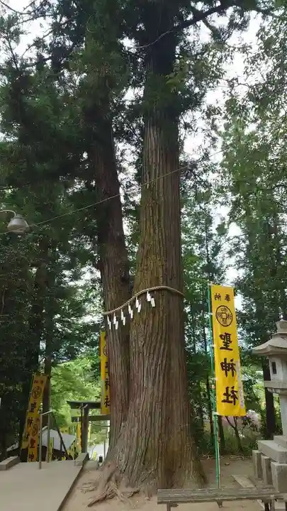 聖神社(埼玉県)
