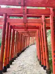 祐徳稲荷神社の鳥居