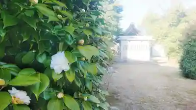 八幡社(大塚八幡社)の景色