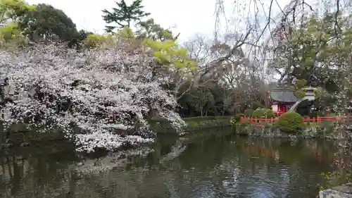 三嶋大社の庭園