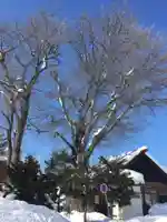 中の島神社(北海道)