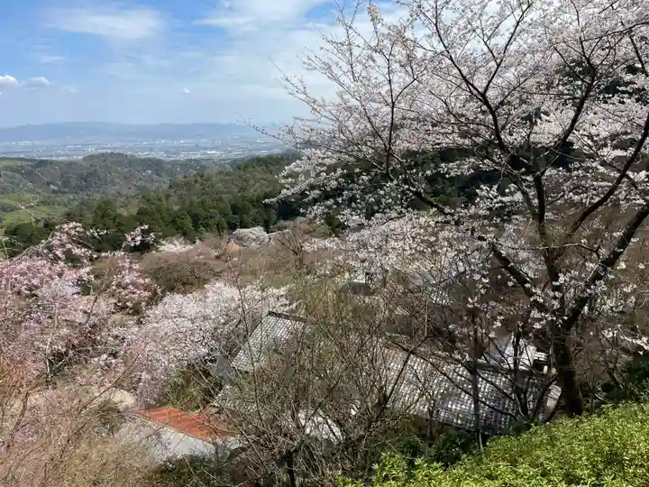 善峯寺(京都府)