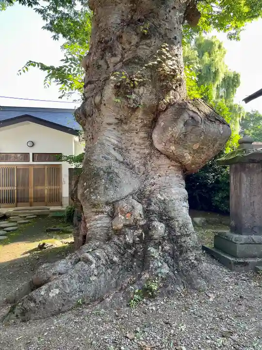 実成寺(福島県)