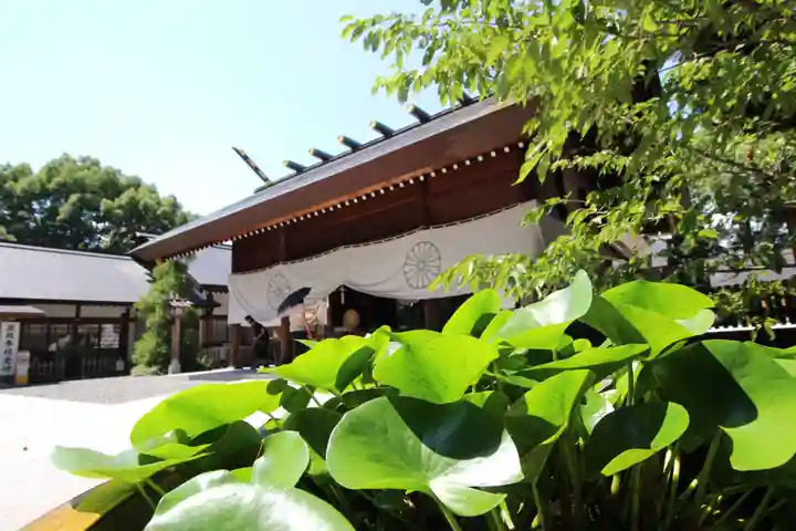 阿佐ヶ谷神明宮(東京都)