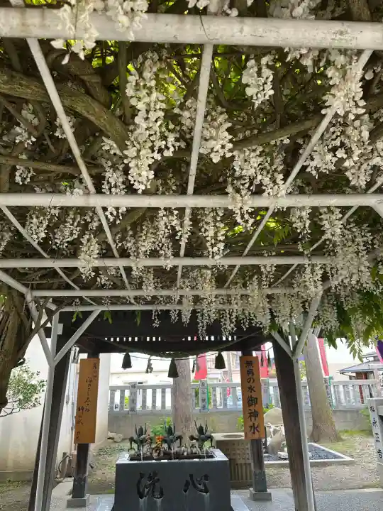 奥田神社の{uncategorized: "未分類", other: "その他", undefined: "問題あり", building: "その他建物", grave: "お墓", sacred_gate: "鳥居", guardian: "狛犬", statue: "像", buddha: "仏像", history: "歴史", nature: "自然", garden: "庭園", animal: "動物", pagoda: "塔", temizu: "手水舎", mountain_gate: "山門・神門", sanctuary: "本殿・本堂", subordinate: "末社・摂社", art: "芸術", scenery: "景色", jizo: "地蔵", ema: "絵馬", goshuin: "御朱印", omikuji: "おみくじ", items: "授与品その他", amulet: "お守り", goshuincho: "御朱印帳", eats: "食事", festival: "お祭り", votive_dance: "神楽", shichigosan: "七五三参", wedding: "結婚式", experience: "体験その他", initially: "初詣", around: "周辺", anti_infection: "感染症対策"}