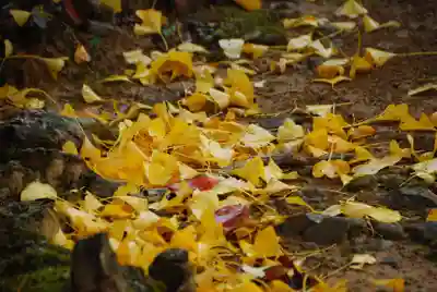 能満寺(山口県)