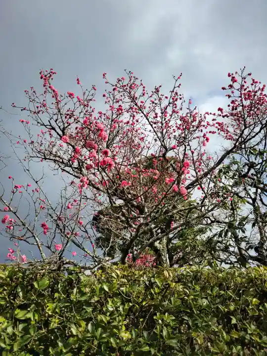 岩津天満宮(愛知県)