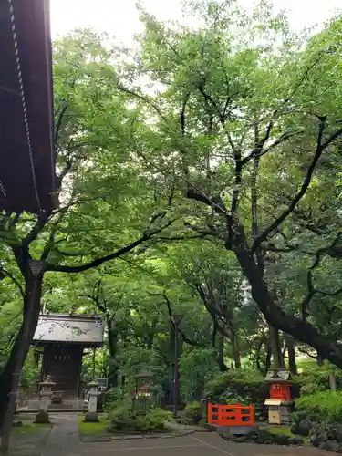 熊野神社(東京都)