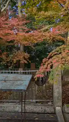 岩屋寺(京都府)