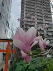 成子天神社の自然