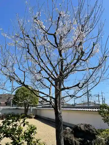 寳珠院（宝珠院）の自然