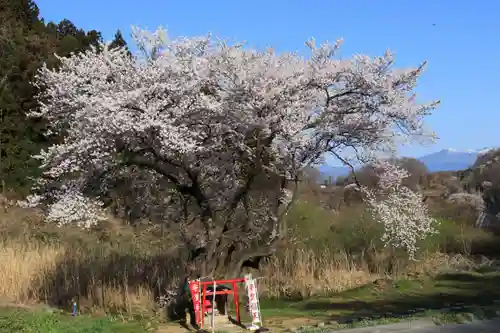 宇賀神さまの庭園