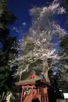 田村神社の末社・摂社