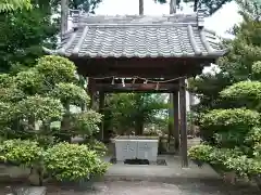 素盞鳴神社（横町）の手水