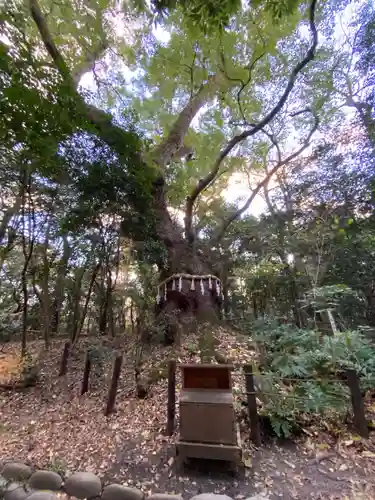 熱田神宮の自然