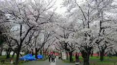 平野神社の自然