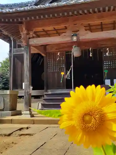 伏木香取神社の本殿・本堂