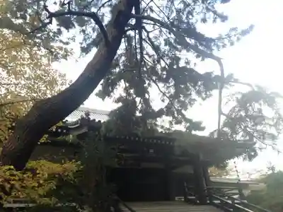 妙寿寺の本殿・本堂