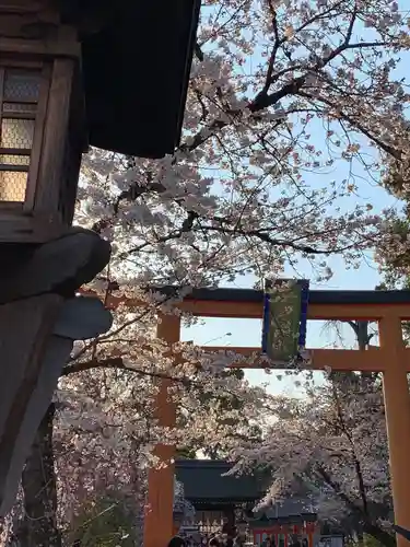 平野神社の鳥居