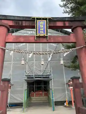白鬚神社(滋賀県)