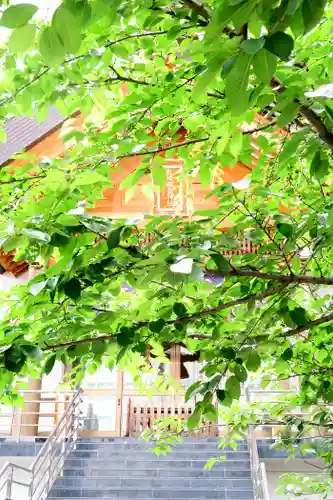 札幌祖霊神社の自然