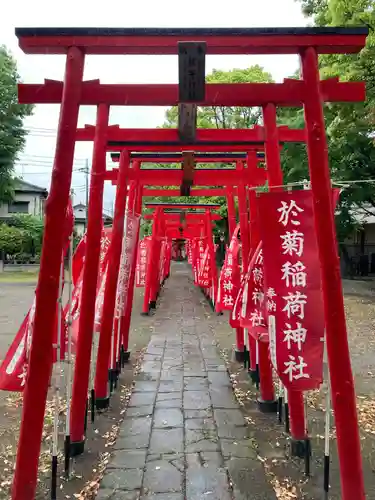 於菊稲荷神社の鳥居