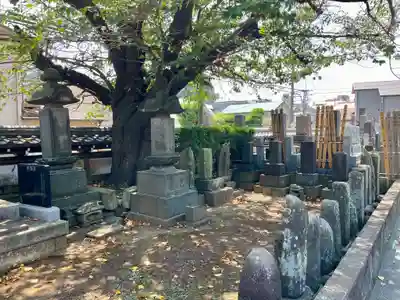 天徳院(神奈川県)