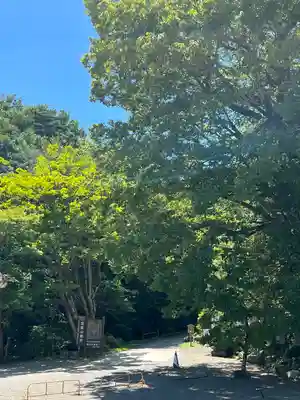 宝登山神社(埼玉県)