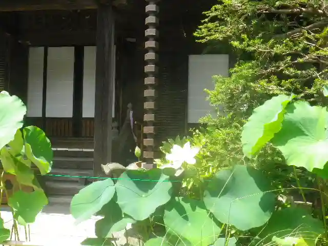 大巧寺の本殿・本堂