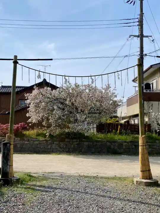 闘鶏神社(和歌山県)
