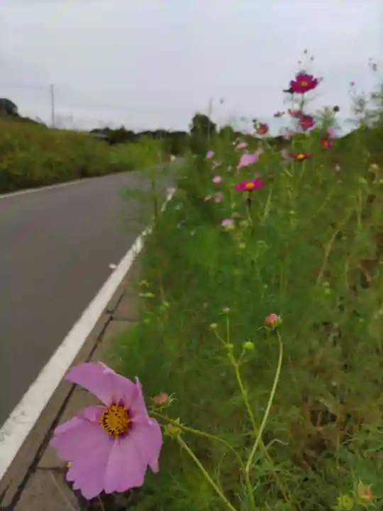 本郷氷川神社の周辺