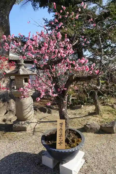 菅原天満宮(菅原神社)のその他建物