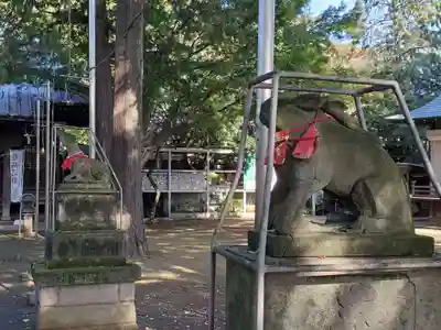 大宮前春日神社の狛犬