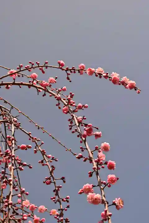 西方寺(広島県)