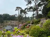 塩船観音寺の{uncategorized: "未分類", other: "その他", undefined: "問題あり", building: "その他建物", grave: "お墓", sacred_gate: "鳥居", guardian: "狛犬", statue: "像", buddha: "仏像", history: "歴史", nature: "自然", garden: "庭園", animal: "動物", pagoda: "塔", temizu: "手水舎", mountain_gate: "山門・神門", sanctuary: "本殿・本堂", subordinate: "末社・摂社", art: "芸術", scenery: "景色", jizo: "地蔵", ema: "絵馬", goshuin: "御朱印", omikuji: "おみくじ", items: "授与品その他", amulet: "お守り", goshuincho: "御朱印帳", eats: "食事", festival: "お祭り", votive_dance: "神楽", shichigosan: "七五三参", wedding: "結婚式", experience: "体験その他", initially: "初詣", around: "周辺", anti_infection: "感染症対策"}