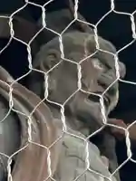 十輪寺の山門・神門