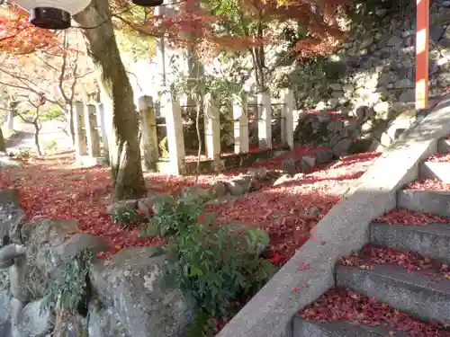 新宮神社の自然