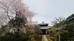 安楽寺(京都府)