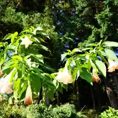 豊景神社の庭園