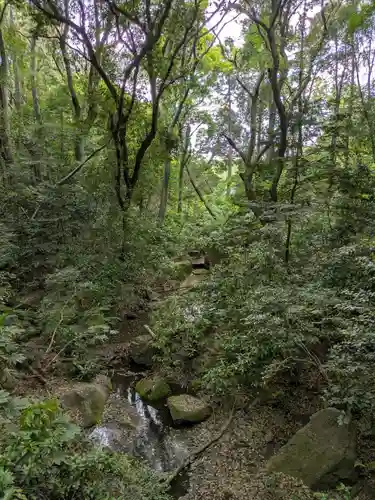 明治神宮(東京都)