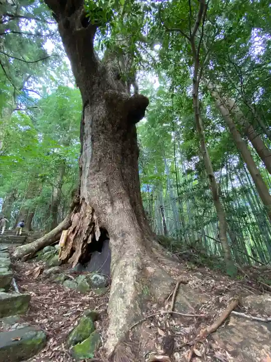 熊野那智大社(和歌山県)